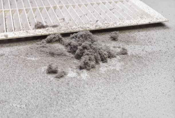 Best Ductwork Cleaning Services  in Newport, NC
