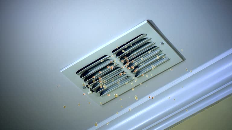 Best HVAC System Cleaning  in Newport, NC